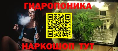 ПСИЛОЦИБИНОВЫЕ ГРИБЫ Кимры
