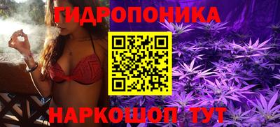 MESCALINE Кингисепп