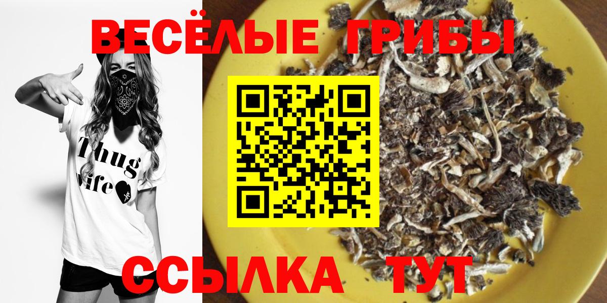 Галлюциногенные грибы Psilocybine cubensis Бутурлиновка