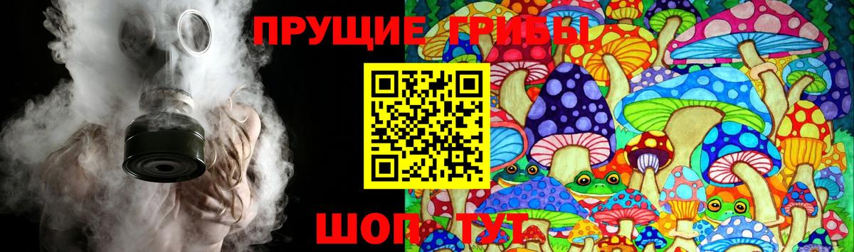 Псилоцибиновые грибы Psilocybe  Вход с VPN  купить  сайты  Псилоцибиновые грибы Magic Shrooms  Бутурлиновка 